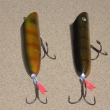 MURIN II, druh 2010, d�lka t�la 10cm, dva druhy barev , ale d�lalo se vic odst�n�